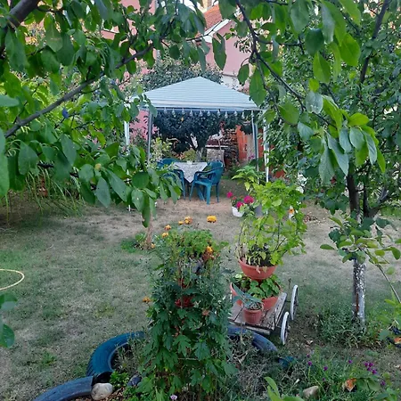 Drina Apartman Berilovac